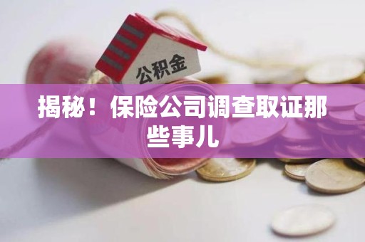 武夷山揭秘！保险公司调查取证那些事儿