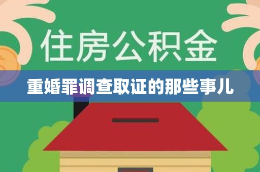 武夷山重婚罪调查取证的那些事儿