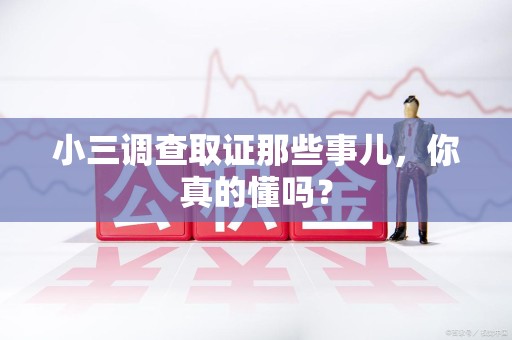武夷山小三调查取证那些事儿，你真的懂吗？