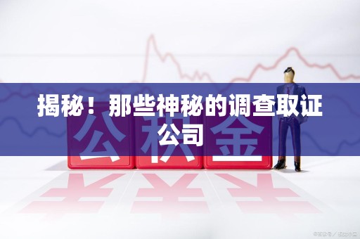 武夷山揭秘！那些神秘的调查取证公司