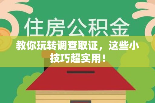 武夷山教你玩转调查取证，这些小技巧超实用！