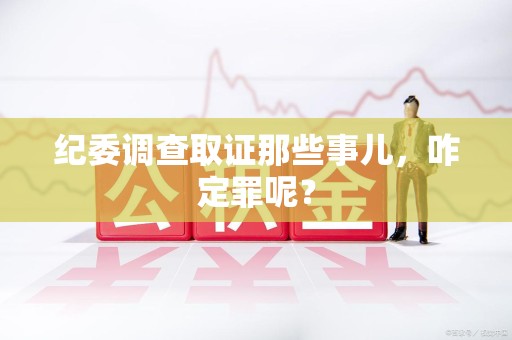 武夷山纪委调查取证那些事儿，咋定罪呢？