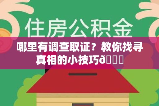 武夷山哪里有调查取证？教你找寻真相的小技巧😎