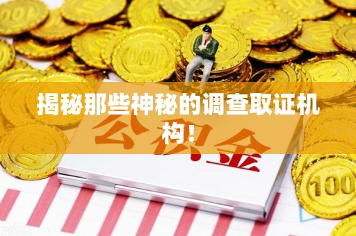 武夷山揭秘那些神秘的调查取证机构！