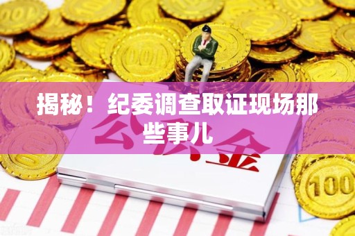 武夷山揭秘！纪委调查取证现场那些事儿