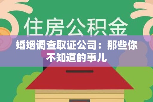 武夷山婚姻调查取证公司：那些你不知道的事儿