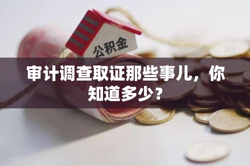 武夷山审计调查取证那些事儿，你知道多少？