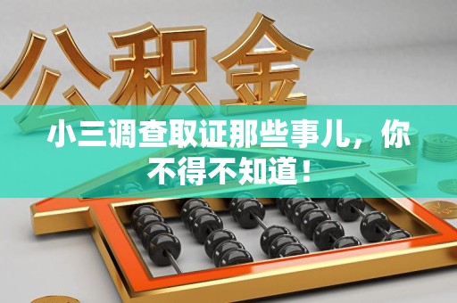 武夷山小三调查取证那些事儿，你不得不知道！