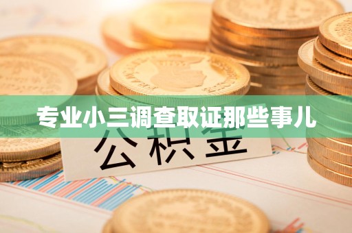 武夷山专业小三调查取证那些事儿