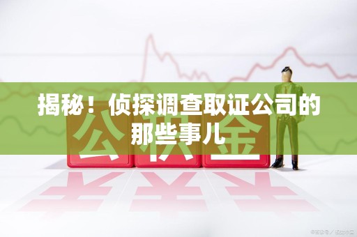 武夷山揭秘！侦探调查取证公司的那些事儿