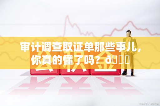 武夷山审计调查取证单那些事儿，你真的懂了吗？😎
