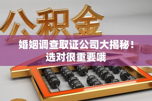 武夷山婚姻调查取证公司大揭秘！选对很重要哦