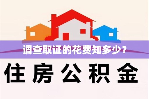 武夷山调查取证的花费知多少？