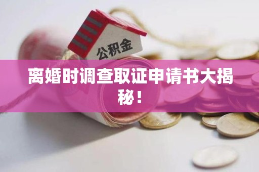 武夷山离婚时调查取证申请书大揭秘！